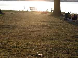 ��astn�ci workshop� na pl�i Ostende